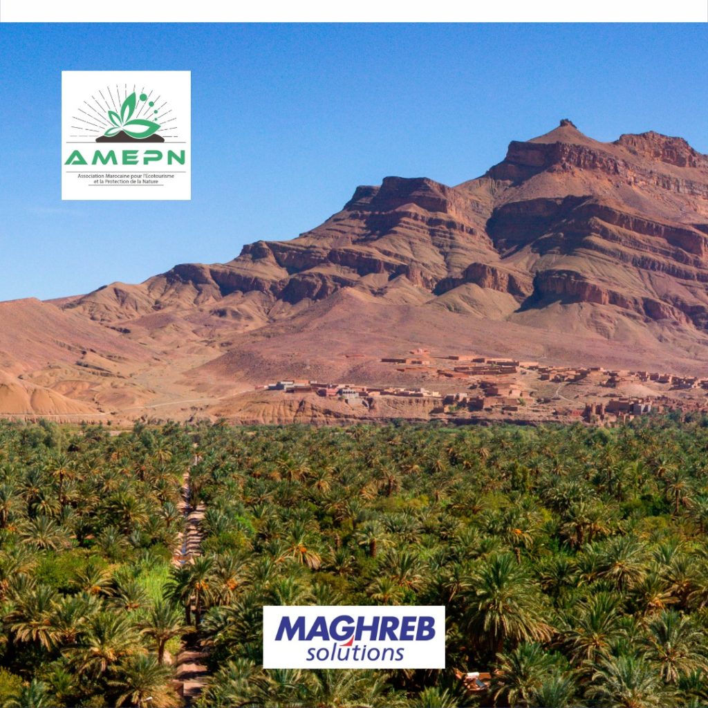 Partenaires | AMEPN | Maghreb Solutions | Transporteur Maghreb